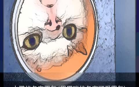 小猫的名字霸气(男猫咪的名字可爱霸气)