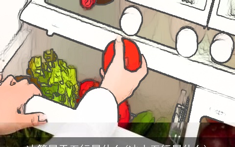 冰箱属于五行属什么(冰山五行属什么)