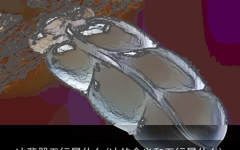 冰翡翠五行属什么(冰的含义和五行属什么)