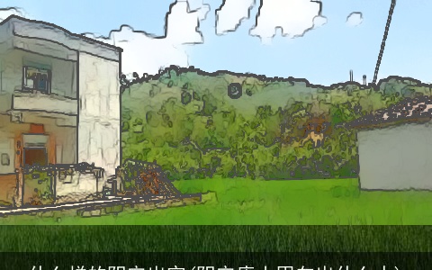 什么样的阴宅出官(阴宅庚山甲向出什么人)