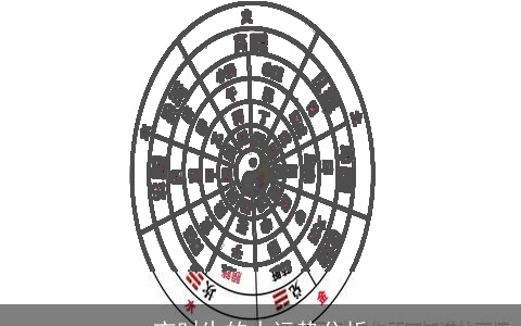 亥时生的人运势分析