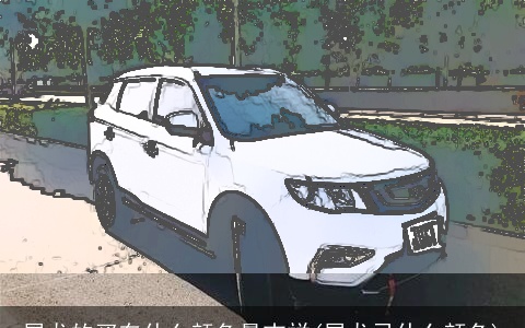 属龙的买车什么颜色最吉祥(属龙忌什么颜色)