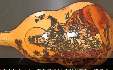 家中什么地方挂葫芦最好(自家种的葫芦放哪最好)