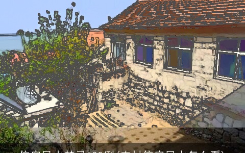 住房风水禁忌100例(农村住房风水怎么看)