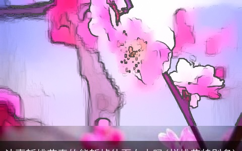 法事斩桃花真的能斩掉外面女人吗(烂桃花特别多)