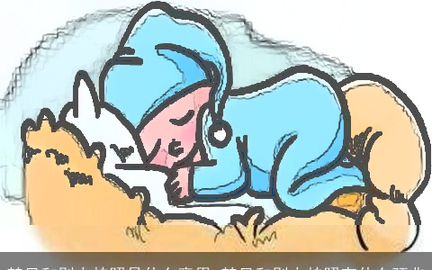 梦见和别人拍照是什么意思 梦见和别人拍照有什么预兆