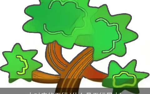 木对应的五行(什么是五行属木)