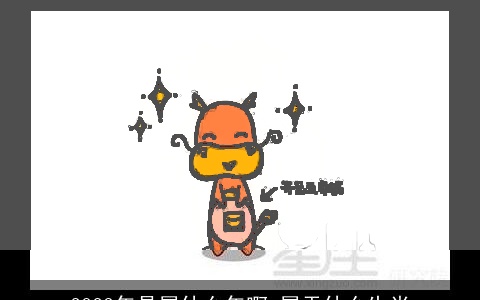 2023年是属什么年啊 属于什么生肖