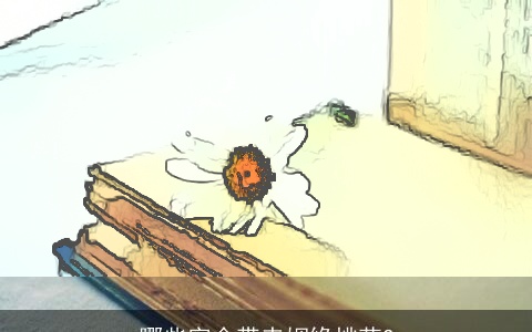 哪些字会带来姻缘桃花?