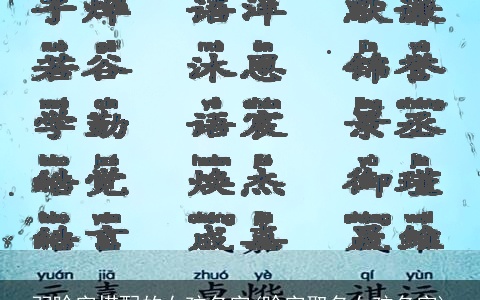 羽晗字搭配的女孩名字(晗字取名女孩名字)