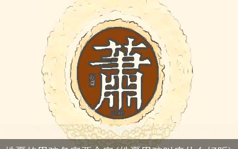 姓夏的男孩名字两个字(姓夏男孩叫应什么好听)
