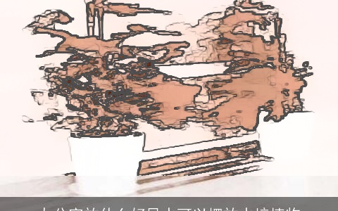 办公室放什么好风水可以摆放水培植物