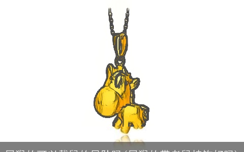 属猴的可以戴鼠的吊坠吗(属猴的带老鼠挂饰好吗)