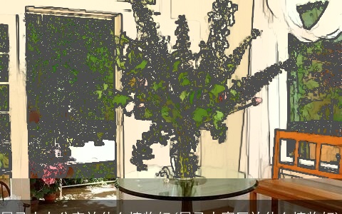 属龙人办公室放什么植物好(属龙人客厅放什么植物好)