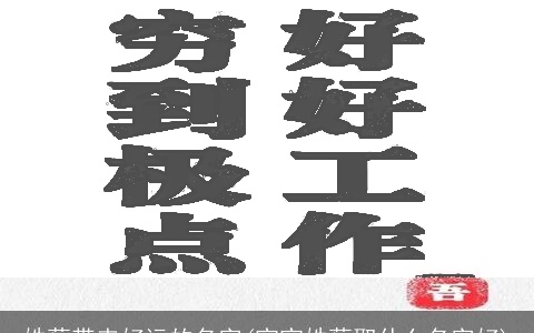 姓蔡带来好运的名字(宝宝姓蔡取什么名字好)