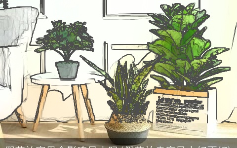 假花放家里会影响风水吗(假花放走廊风水好不好)