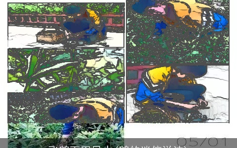 飞鹅下田风水(鹅的迷信说法)