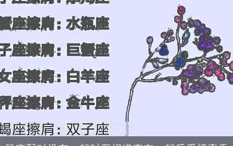 星座配对没在一起时互相嫌弃在一起后爱情真香