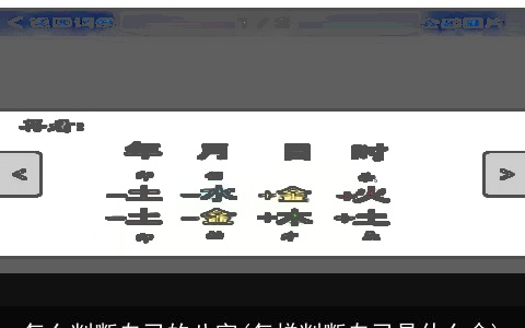 怎么判断自己的八字(怎样判断自己是什么命)