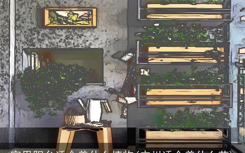 家里阳台适合养什么植物(广州适合养什么花)