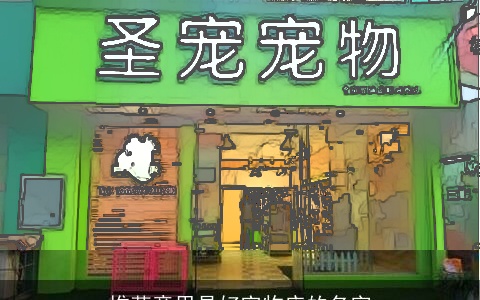 推荐意思是好宠物店的名字