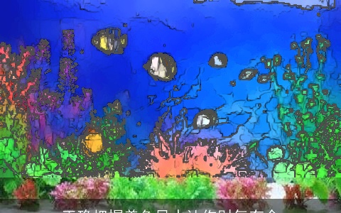 正确把握养鱼风水让你财气有余