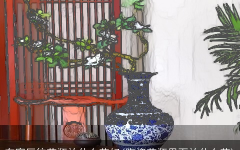 在客厅往花瓶放什么花好(陶瓷花瓶里面放什么花)