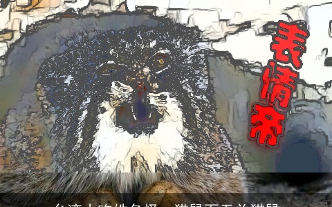 台湾小吃姓名怪：猫鼠面无关猫鼠