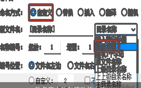 改名字大改和略改的方法