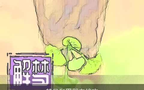 梦见和男朋友接吻