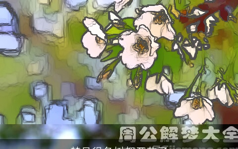 梦见很多树都开花了