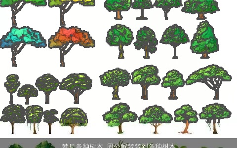 梦见各种树木_周公解梦梦到各种树木是什么意思_做梦梦见各种树木好不好