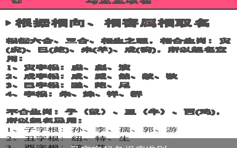 马宝宝起名根底准则