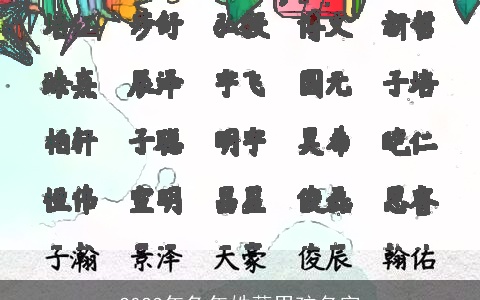 2023年兔年姓薛男孩名字