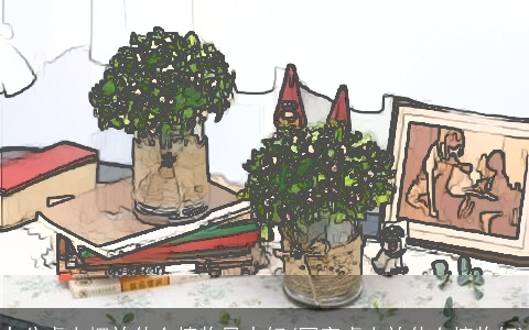 办公桌上摆放什么植物风水好(写字桌上放什么植物好)