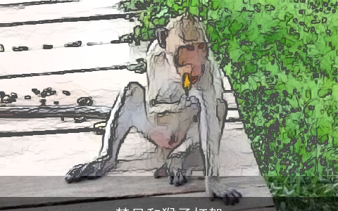 梦见和猴子打架