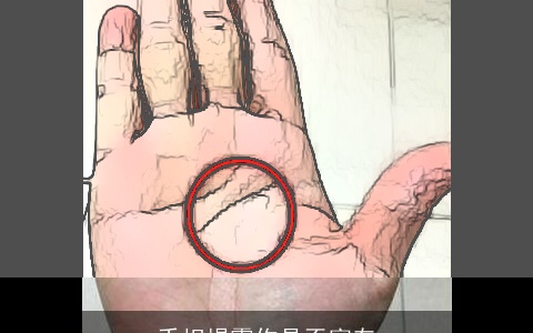 手相揭露你是否富有