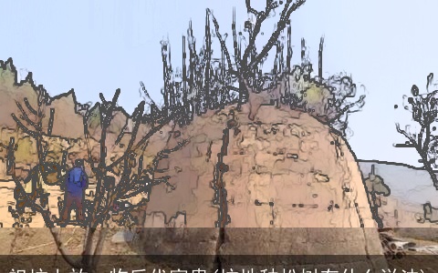 祖坟上放一物后代富贵(坟地种松树有什么说法)