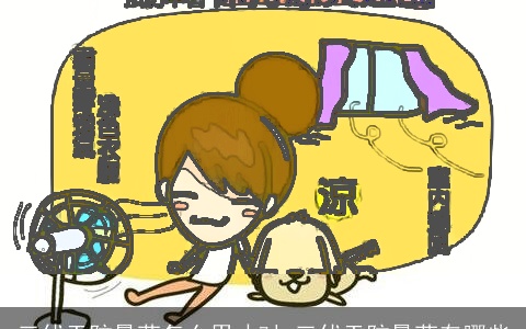 三伏天防暑药怎么用才对 三伏天防暑药有哪些