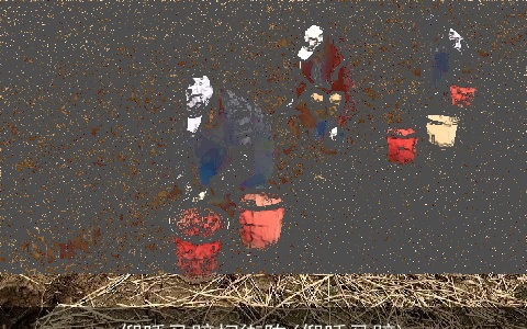 仰睡马蹄扫街陈(仰睡马蹄)