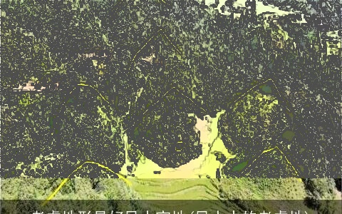 老虎地形最好风水宝地(风水中的老虎地)