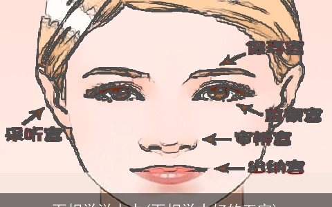 面相学说人中(面相学中好的五官)