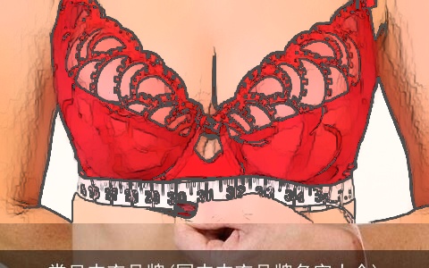 常见内衣品牌(国内内衣品牌名字大全)