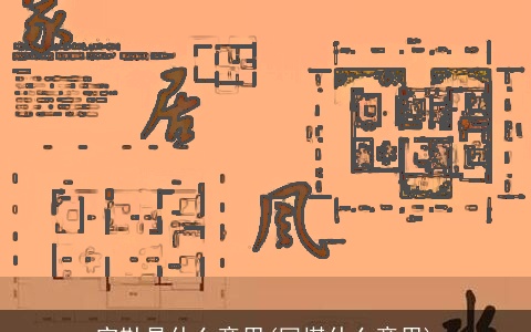 实勘是什么意思(回堪什么意思)