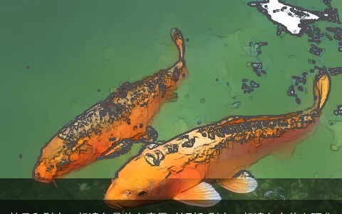 梦见和别人一起逮鱼是什么意思 梦到和别人一起逮鱼有什么预兆