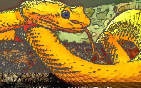 1965年属蛇人2023年运势详解