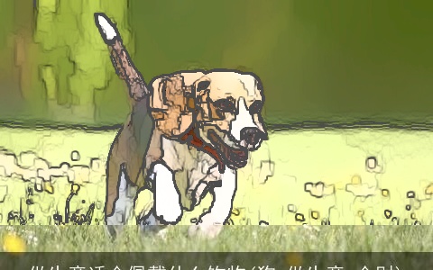 做生意适合佩戴什么饰物(狗 做生意 合财)