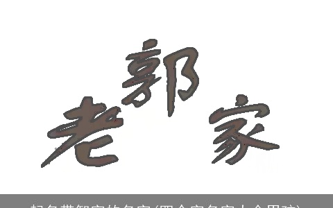 起名带智字的名字(四个字名字大全男孩)