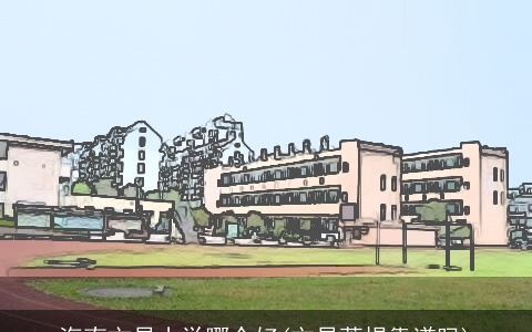 海南文昌小学哪个好(文昌菩提靠谱吗)