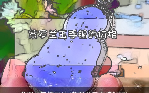 紫罗兰玉镯图片(紫罗兰玉石值钱吗)
